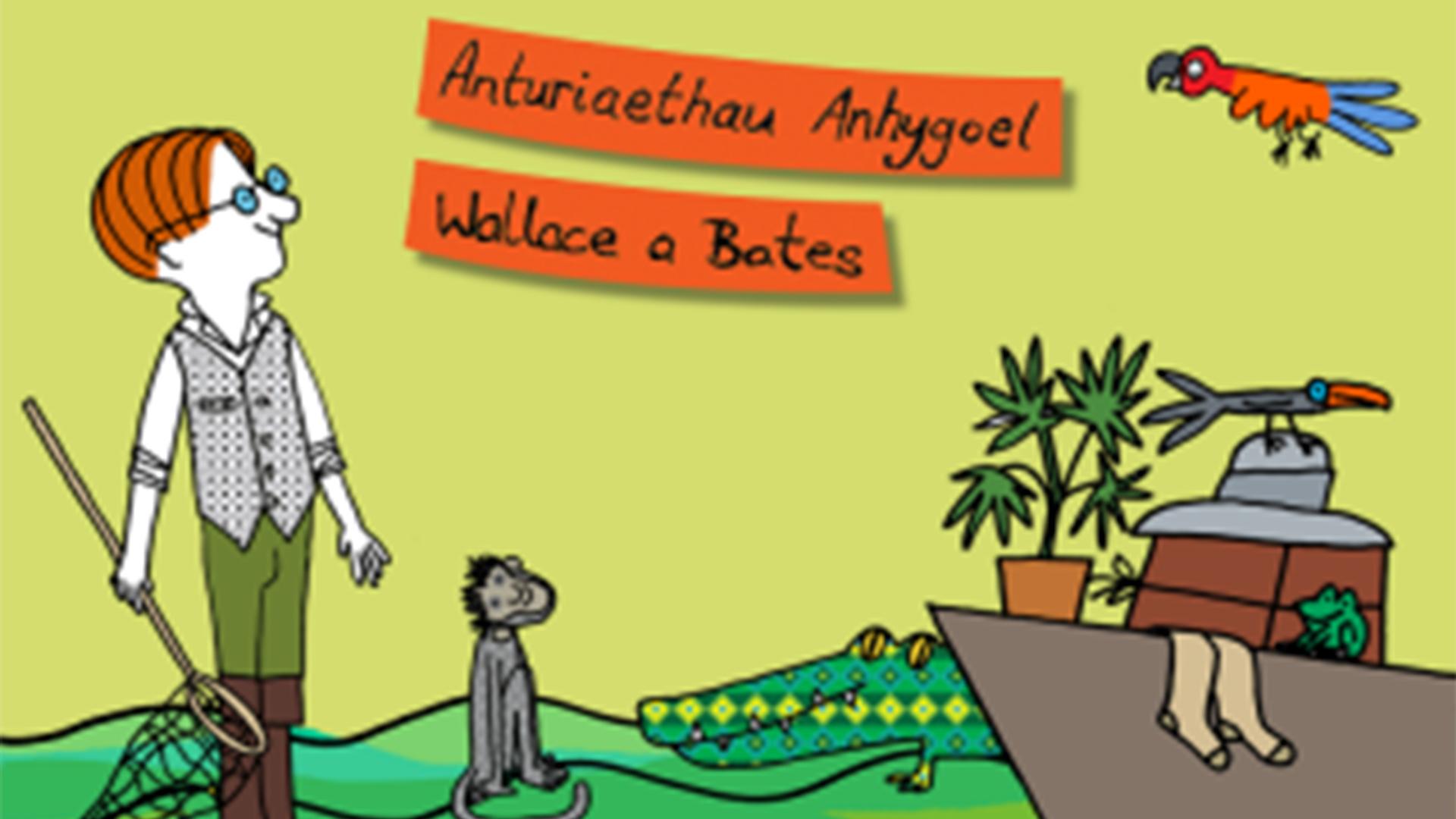 Darlun o ddyn gyda rhwyd pili pala yn sefyll drws nesa i mwnci ar yr ochr chwith. Cefndir gwyrdd. Mae'r mor i'w weld ar waelod y llun gyda cwch ar yr ochr dde gyda par o sannau, broga a planhigyn ar y cwch. Mae crocodeil yn y dwr a parrot yn hedfan uwchben y cwch. Mae'r geiriaru 'Anturiaethau Anhygoel Wallace a Bates' i'w weld ar top y llun.